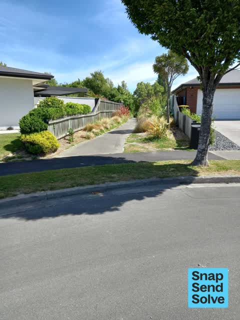 Overgrown Vegetation, a report photo