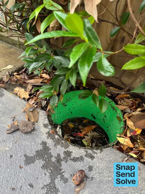 Water Leak, a report photo