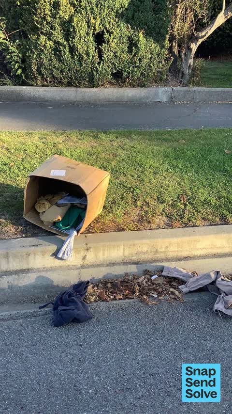 Dumped Rubbish, a report photo