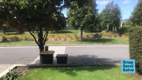 Overgrown Vegetation, a report photo
