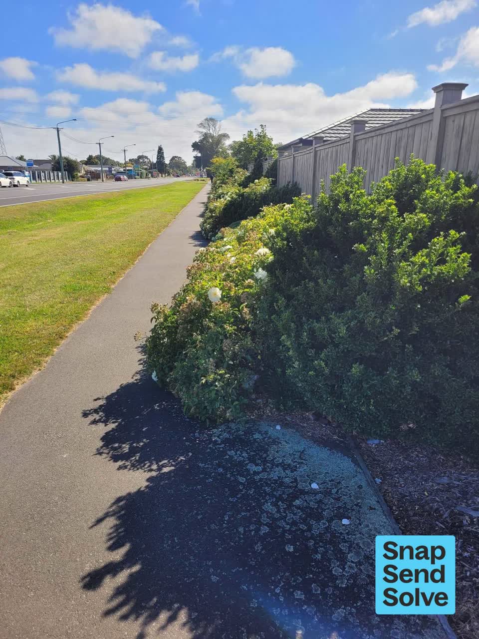The photograph attached to this overgrown vegetation report