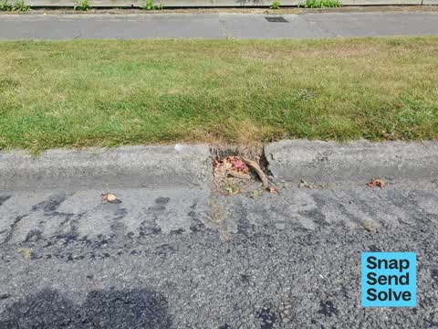 Pavement - Damaged, a report photo