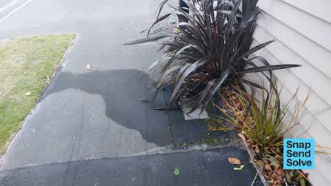 Water Leak, a report photo