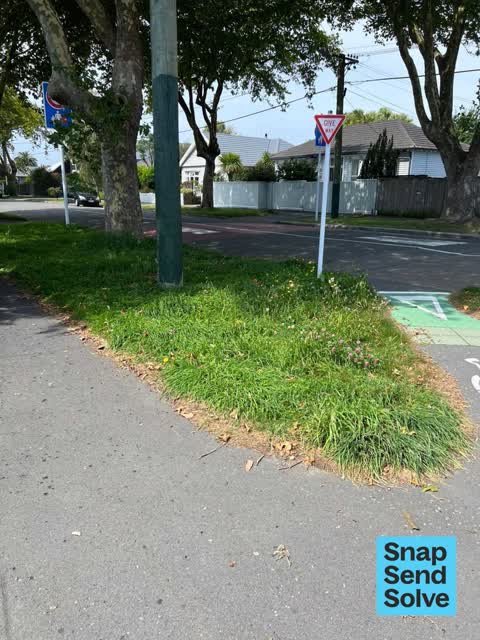 Overgrown Vegetation — a report photo