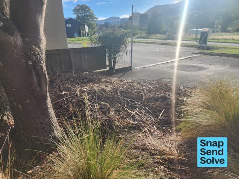 Overgrown Vegetation, a report photo