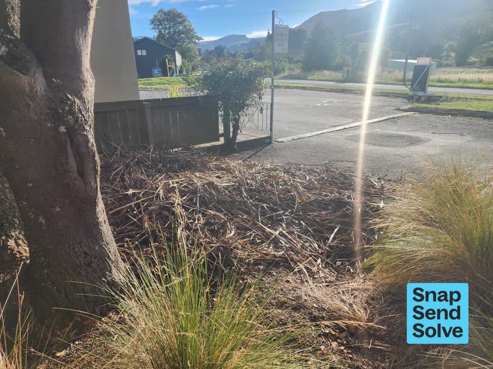 The photograph attached to this overgrown vegetation report