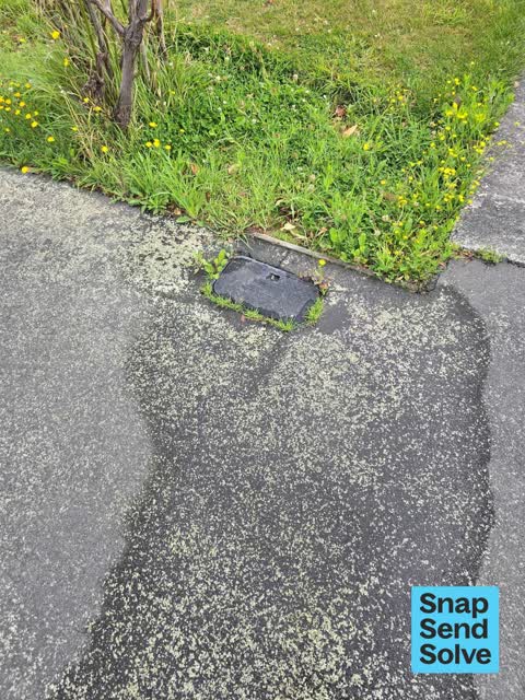 Water Leak, a report photo