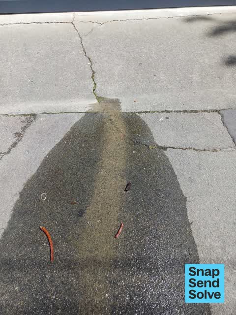 Water Leak, a report photo