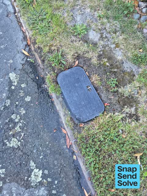 Water Leak, a report photo
