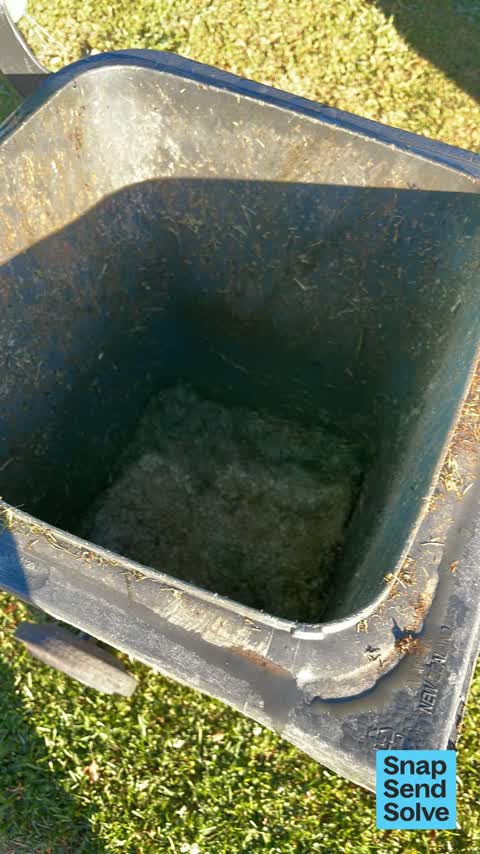 Rubbish and Bins - General, a report photo