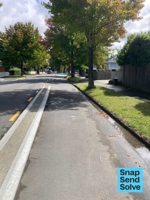 Litter, a report photo