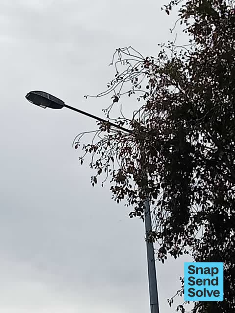 Graffiti on a traffic light pole or cabinet, or wa, a report photo