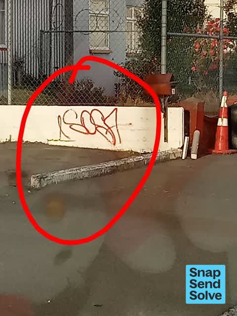 Graffiti on a fence, building or structure, a report photo