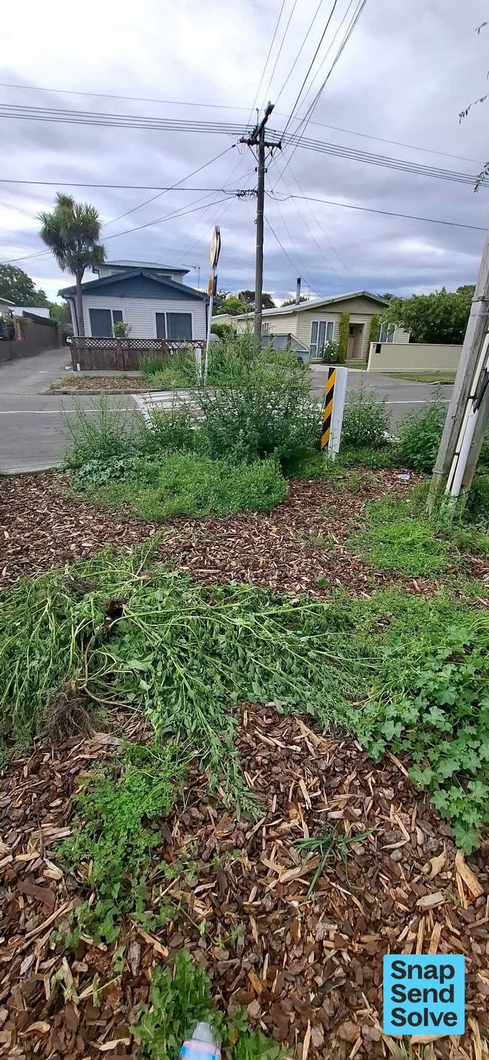 The photograph attached to this overgrown vegetation report