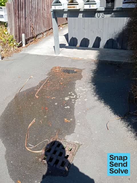 Water Leak, a report photo