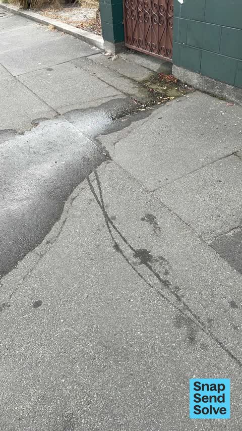 Water Leak, a report photo