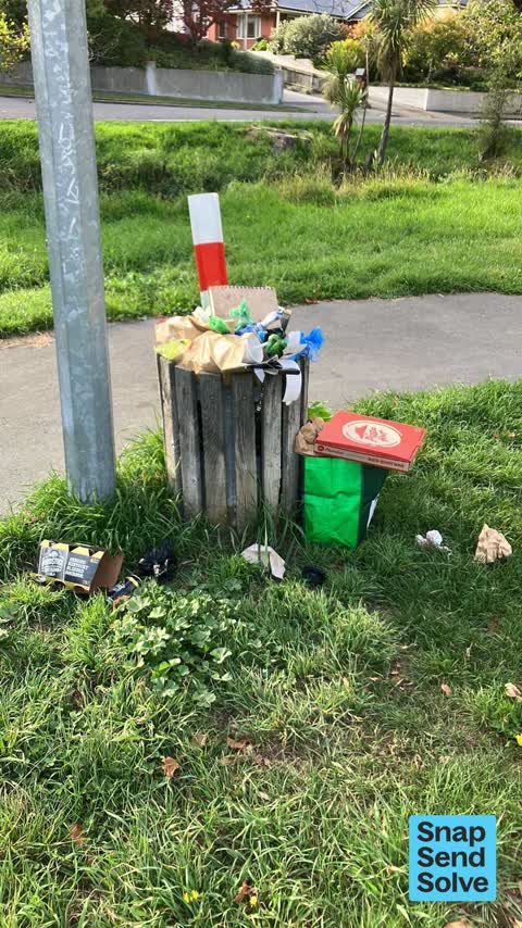 Rubbish and Bins - General — a report photo