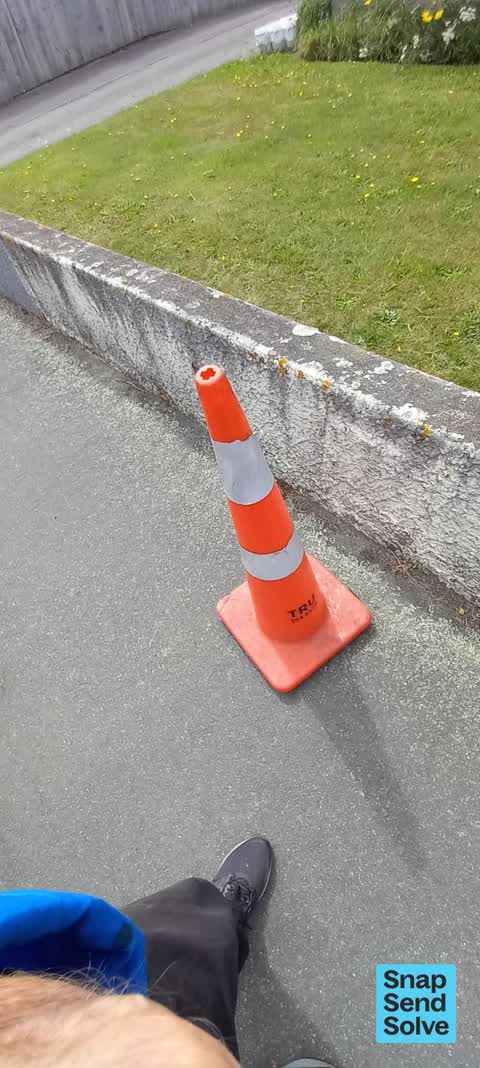 Litter, a report photo