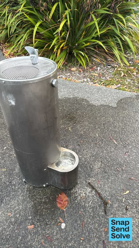 Water Fountain, a report photo