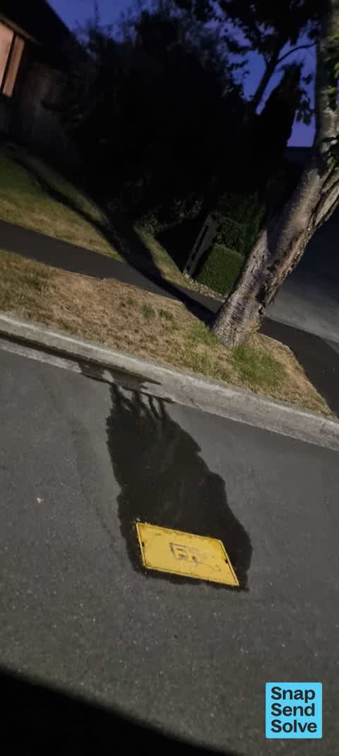 Water Leak, a report photo