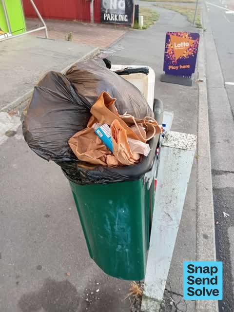 Rubbish and Bins - General, a report photo