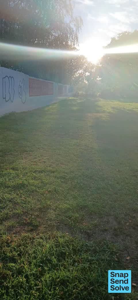 Graffiti on a fence, building or structure — a report photo