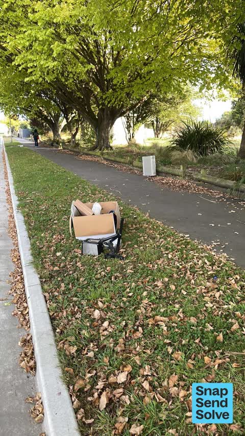 Dumped Rubbish — a report photo