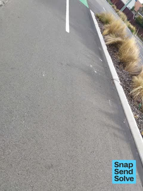 Street Cleaning, a report photo