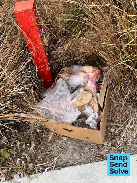 Dumped Rubbish, a report photo