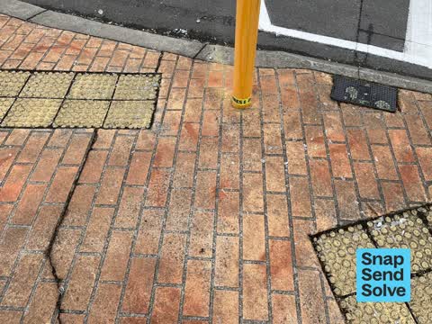 Litter, a report photo