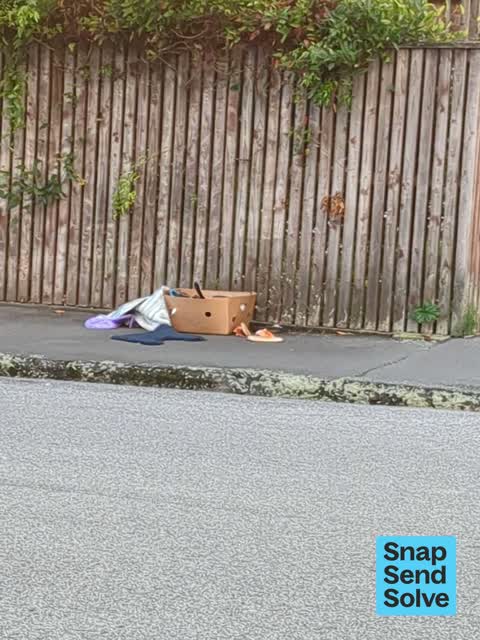 Dumped Rubbish — a report photo