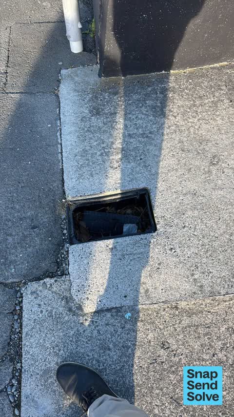 Pavement - Damaged, a report photo