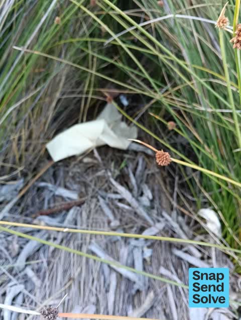 Litter — a report photo