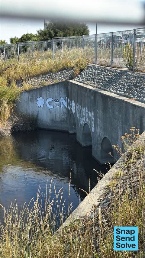 Graffiti on a fence, building or structure, a report photo