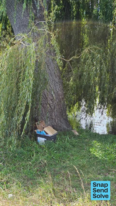 Dumped Rubbish, a report photo