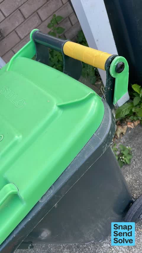 Rubbish and Bins - General, a report photo