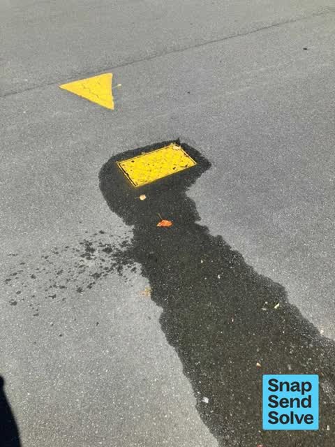 Water Leak, a report photo