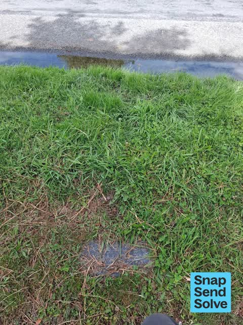 Water Leak, a report photo