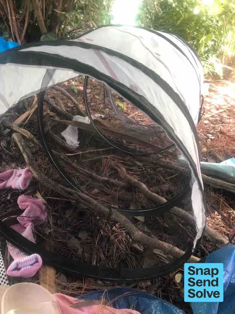 Park - General Request — a report photo