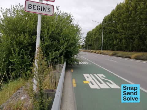Overgrown Vegetation, a report photo