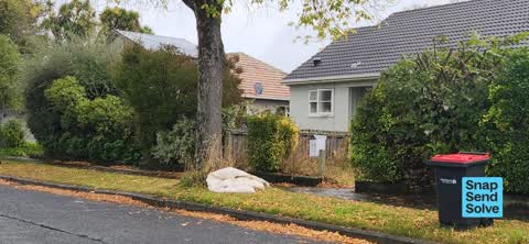 Dumped Rubbish, a report photo