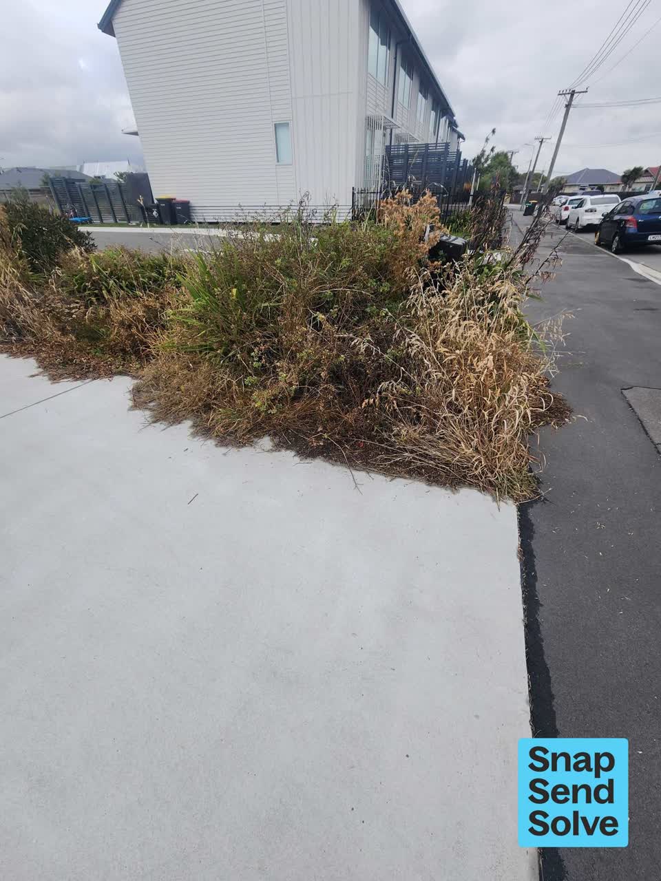 The photograph attached to this overgrown vegetation report