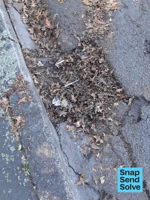Street Gutters / Storm Water — a report photo