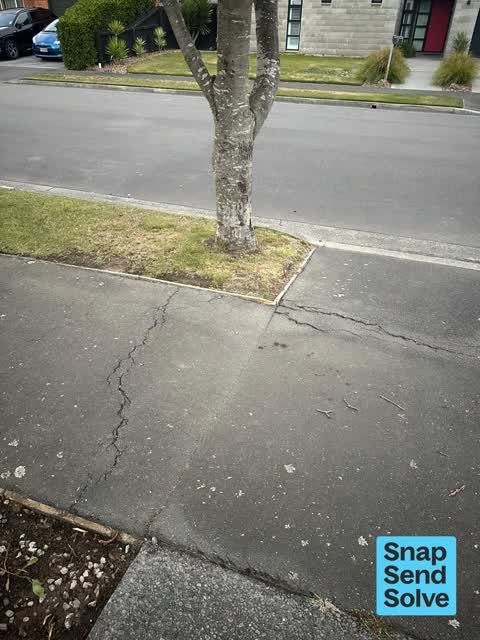 Overgrown Vegetation, a report photo