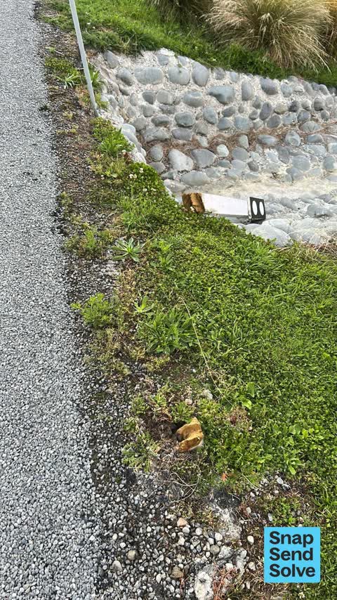 Road Signage, a report photo