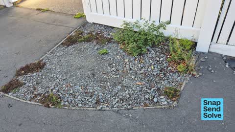 General Request, a report photo