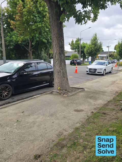 Overgrown Vegetation — a report photo