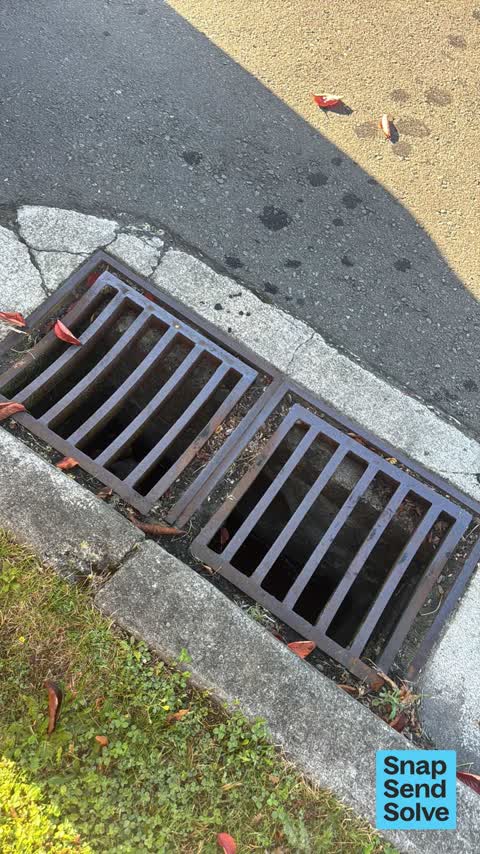 Water Leak, a report photo