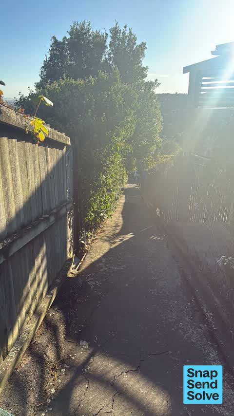 Overgrown Vegetation, a report photo