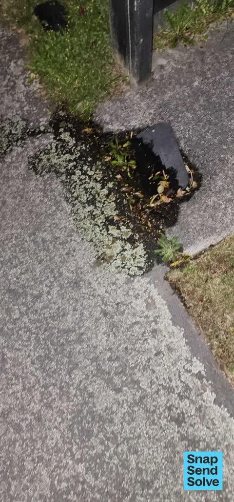 Water Leak, a report photo